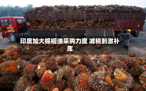 印度加大棕榈油采购力度 减税刺激补库-第2张图片