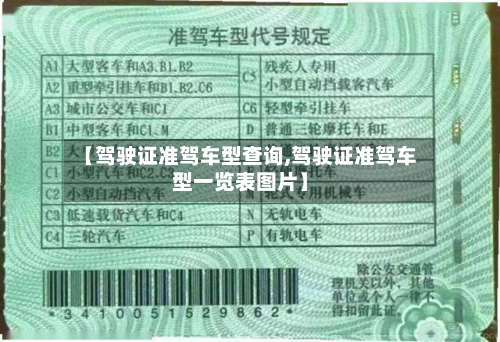 【驾驶证准驾车型查询,驾驶证准驾车型一览表图片】