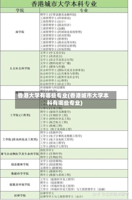 香港大学有哪些专业(香港城市大学本科有哪些专业)-第3张图片