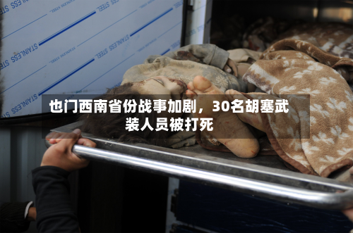 也门西南省份战事加剧，30名胡塞武装人员被打死-第2张图片