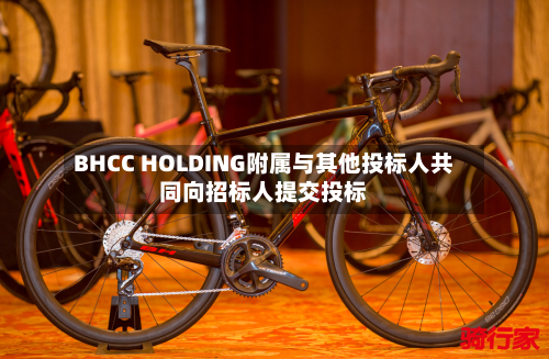 BHCC HOLDING附属与其他投标人共同向招标人提交投标-第3张图片