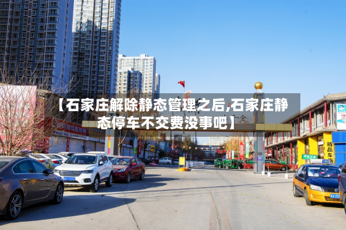 【石家庄解除静态管理之后,石家庄静态停车不交费没事吧】-第2张图片