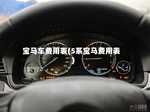 宝马车费用表(5系宝马费用表)-第3张图片