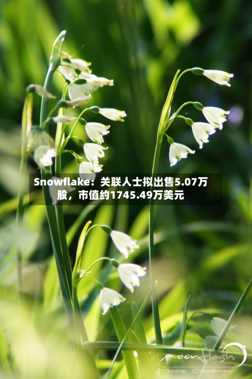 Snowflake：关联人士拟出售5.07万股，市值约1745.49万美元-第2张图片