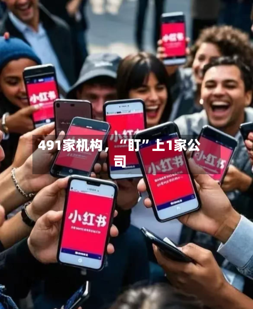 491家机构，“盯”上1家公司