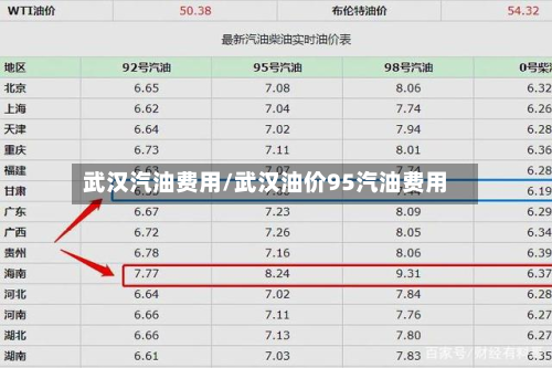 武汉汽油费用/武汉油价95汽油费用-第2张图片
