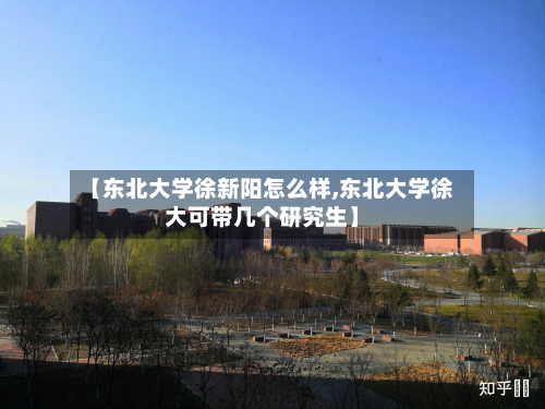【东北大学徐新阳怎么样,东北大学徐大可带几个研究生】-第2张图片