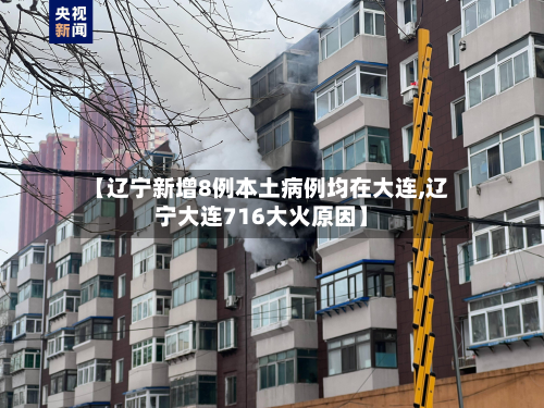 【辽宁新增8例本土病例均在大连,辽宁大连716大火原因】-第2张图片