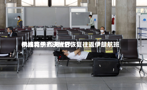 伊拉克纳杰夫世界
机场将于10月4日恢复往返伊朗航班-第3张图片