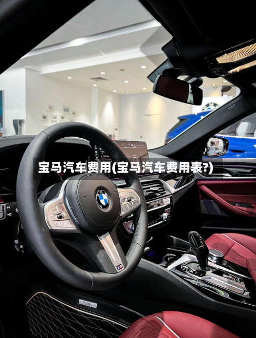 宝马汽车费用(宝马汽车费用表?)-第2张图片