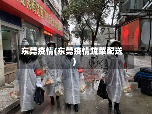 东莞疫情(东莞疫情蔬菜配送)
