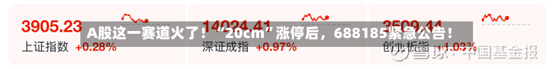 A股这一赛道火了！“20cm”涨停后	，688185紧急公告！-第1张图片