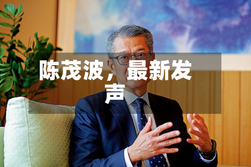 陈茂波，最新发声-第2张图片