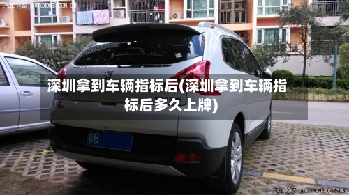 深圳拿到车辆指标后(深圳拿到车辆指标后多久上牌)