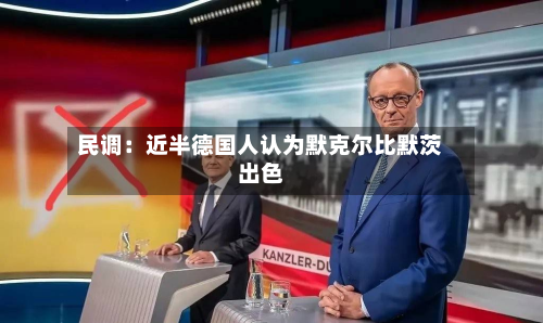 民调：近半德国人认为默克尔比默茨出色
