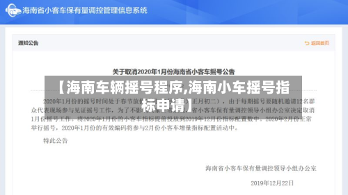 【海南车辆摇号程序,海南小车摇号指标申请】-第2张图片