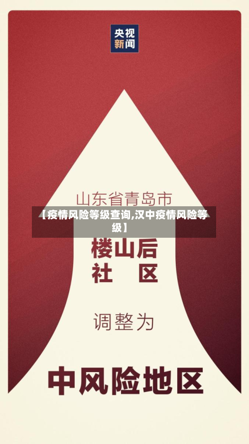 【疫情风险等级查询,汉中疫情风险等级】