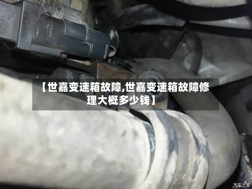 【世嘉变速箱故障,世嘉变速箱故障修理大概多少钱】-第3张图片