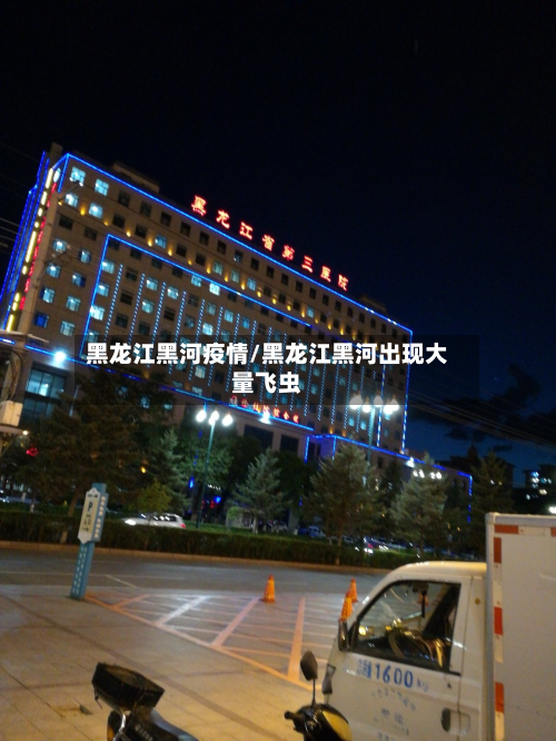 黑龙江黑河疫情/黑龙江黑河出现大量飞虫