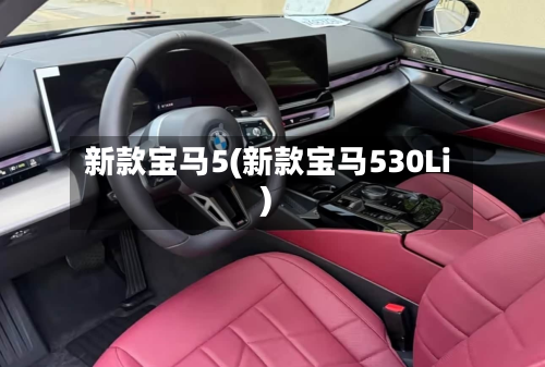 新款宝马5(新款宝马530Li)-第2张图片