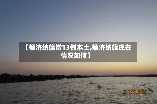 【额济纳旗增13例本土,额济纳旗现在情况如何】