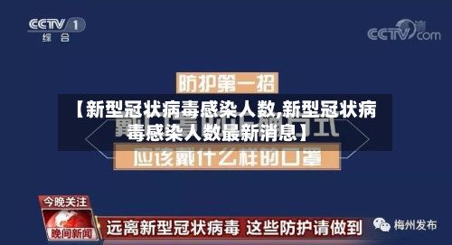 【新型冠状病毒感染人数,新型冠状病毒感染人数最新消息】-第2张图片