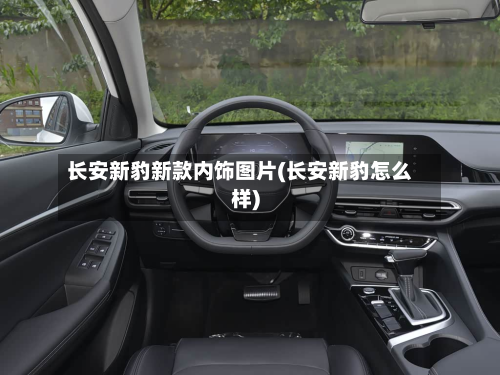 长安新豹新款内饰图片(长安新豹怎么样)-第3张图片