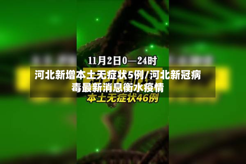 河北新增本土无症状5例/河北新冠病毒最新消息衡水疫情-第3张图片