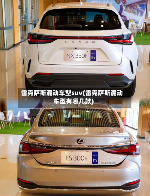 雷克萨斯混动车型suv(雷克萨斯混动车型有哪几款)-第2张图片