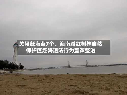 关闭赶海点7个，海南对红树林自然保护区赶海违法行为整改整治