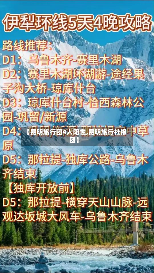 【昆明旅行团4人阳性,昆明旅行社报团】