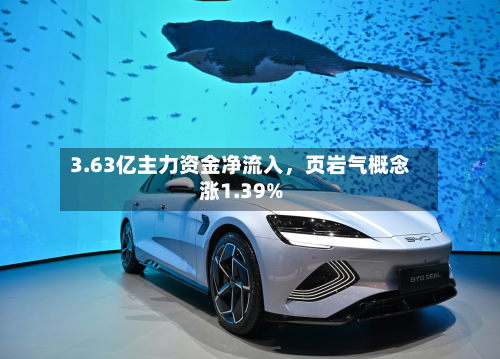 3.63亿主力资金净流入，页岩气概念涨1.39%-第2张图片