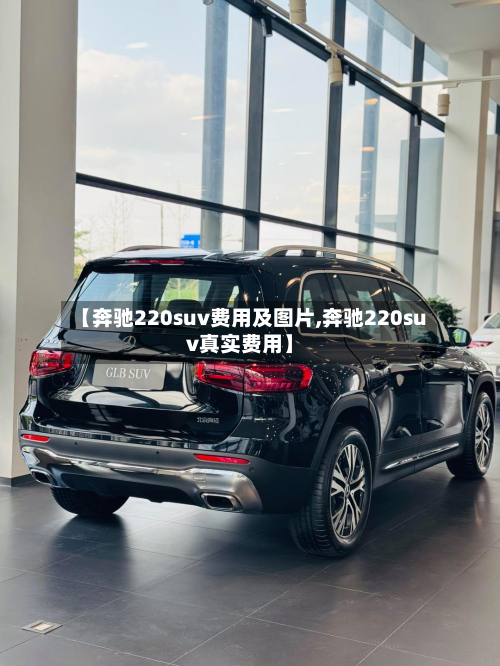 【奔驰220suv费用及图片,奔驰220suv真实费用】-第2张图片