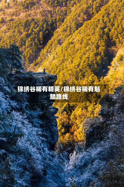 锦绣谷稀有精英/锦绣谷稀有魁麟路线-第2张图片