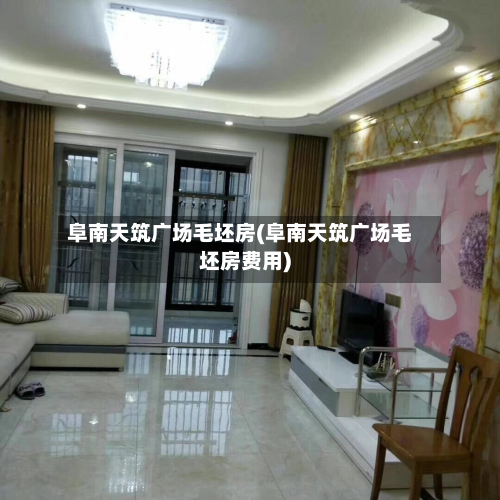 阜南天筑广场毛坯房(阜南天筑广场毛坯房费用)-第3张图片