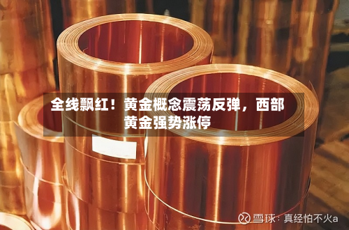 全线飘红！黄金概念震荡反弹，西部黄金强势涨停-第2张图片