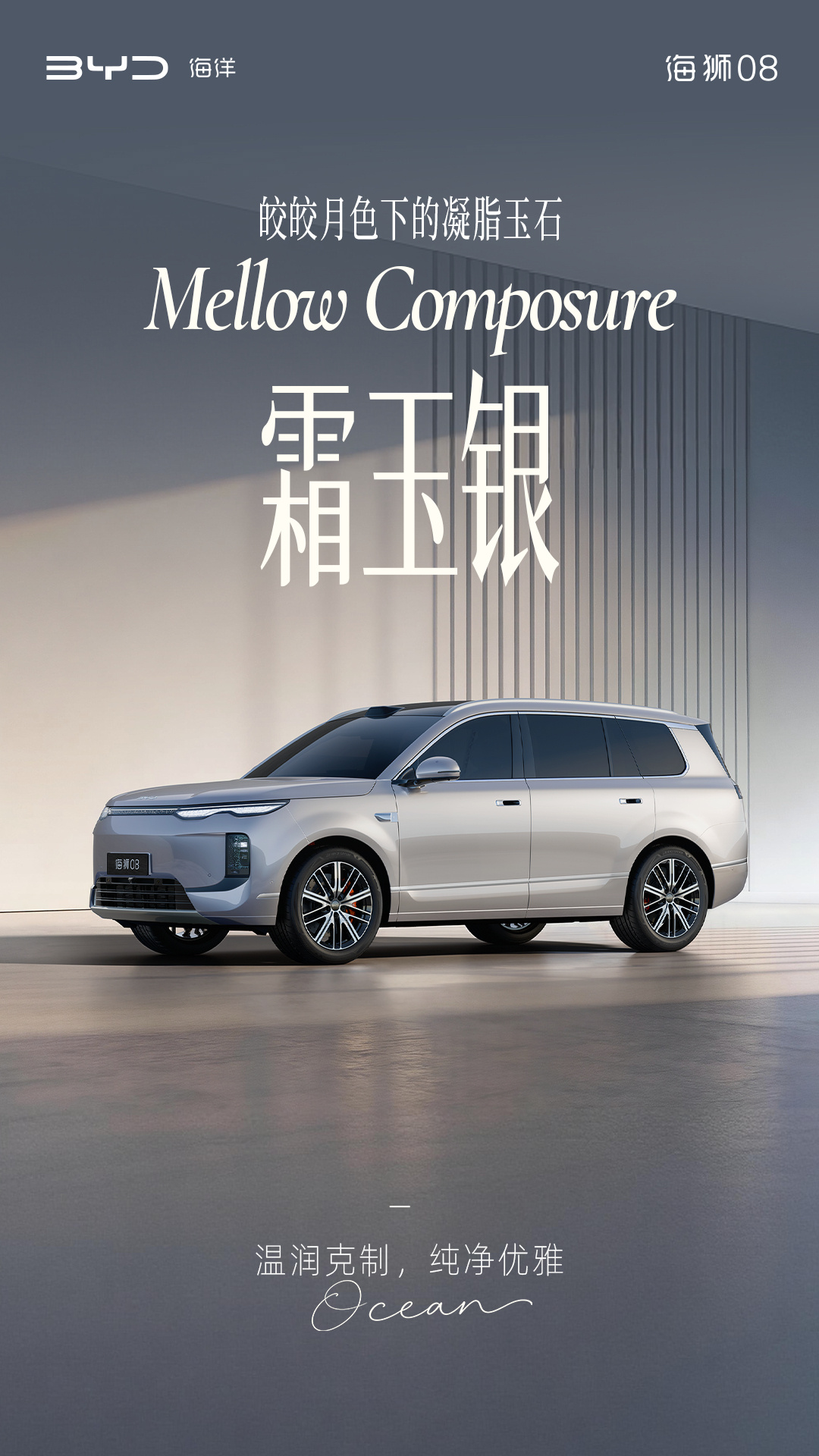 定位海洋旗舰 SUV，比亚迪公布海狮 08 多款高定车色