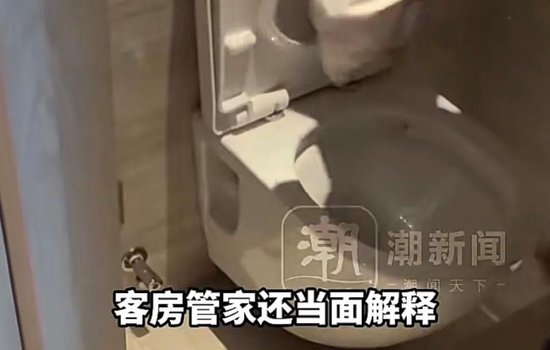 太炸裂！千元档豪华酒店被曝保洁员用刷过马桶的刷子清洁坐垫	，用马桶水洗手后整理床单、枕头……