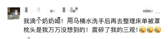 太炸裂！千元档豪华酒店被曝保洁员用刷过马桶的刷子清洁坐垫	，用马桶水洗手后整理床单、枕头……