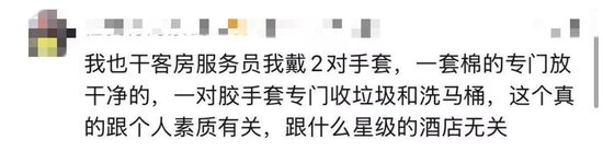 太炸裂！千元档豪华酒店被曝保洁员用刷过马桶的刷子清洁坐垫，用马桶水洗手后整理床单	、枕头……