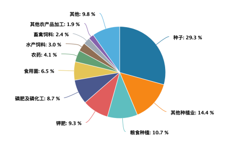 从追光到种田：粮食板块的逻辑，不止厄尔尼诺