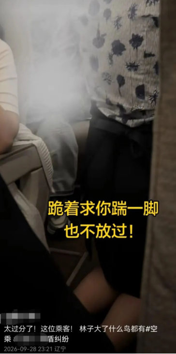 “要让肇事者付出代价！	”东航就“空姐下跪事件”报案，六成网友支持“应加大惩戒辱骂者”